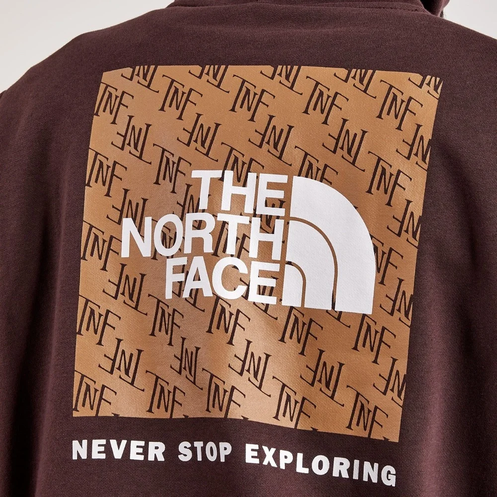 The North Face Never Stop Exploring Hoodie